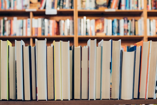 New Beginnings – Transformations in Literature with Bernd Passier