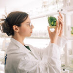Green Office - Tag der offenen Tür (Bildrechte: Giovanna Gahrns/ TU Braunschweig)